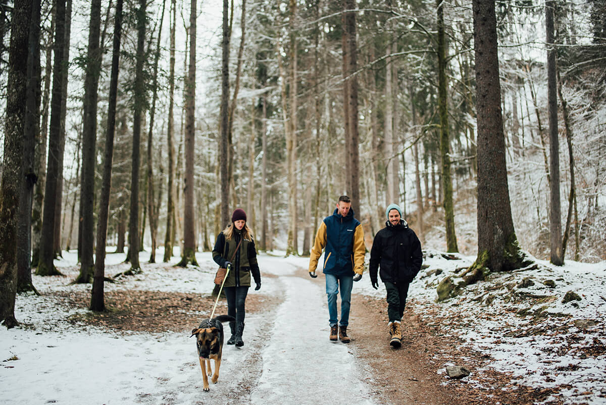 photoshoot for a group of friends with a dog playing in the snow in Morzine Avoriaz (French Alps) on their ski holiday
