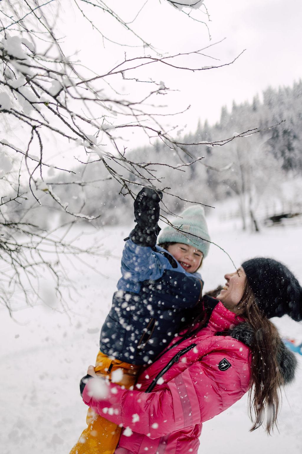 sorties en famille à la montagne